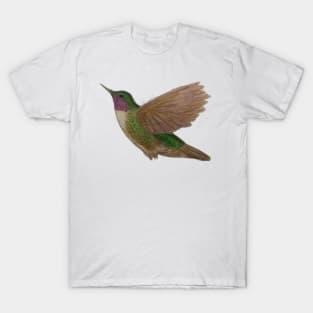 Hummingbird T-Shirt